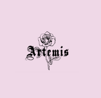 Artemis Accessories