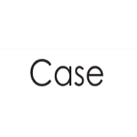 Case Luggage UK