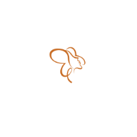 Charmanty Hair  Discount Codes