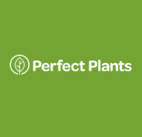 Perfect Plants