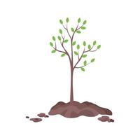 PlantingTree
