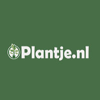 Plantje NL