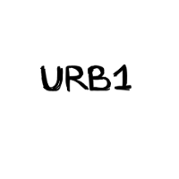 URB1 Vetements Streetwear Discount Codes