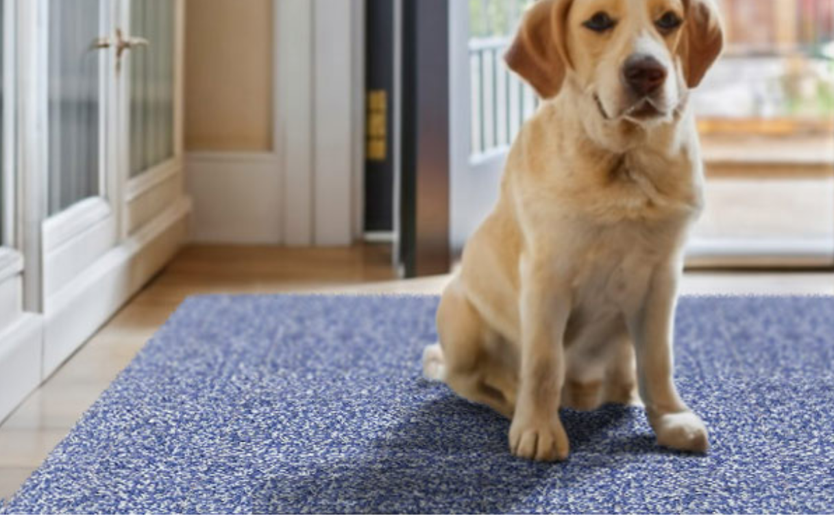 Porte and Hall’s Best-Selling Doormats and Runners 