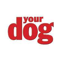 Your Dog UK